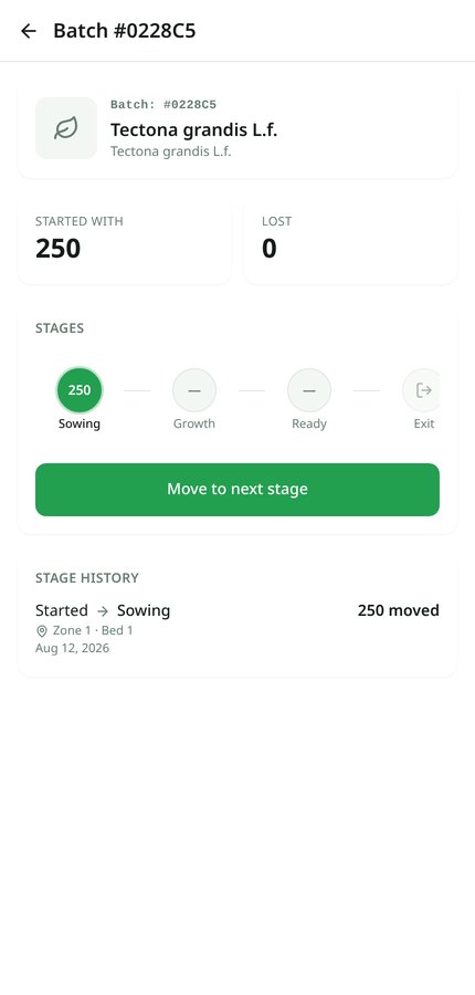 A newly created batch with all plants in the first stage